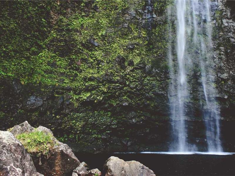 Advocate Tanumay Adhikary in his law library.